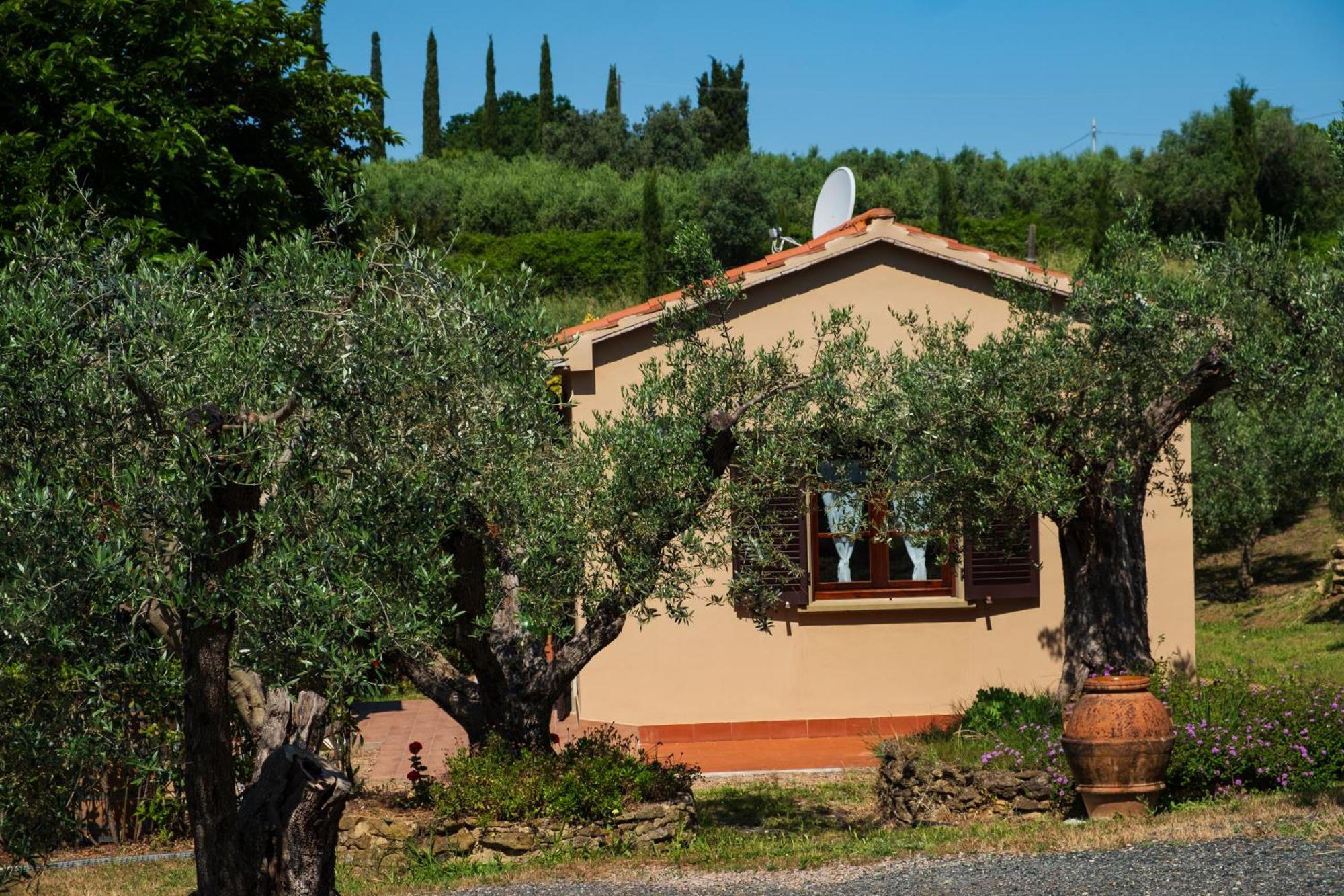 Agriturismo I Cerroni Монтескудайо Екстер'єр фото