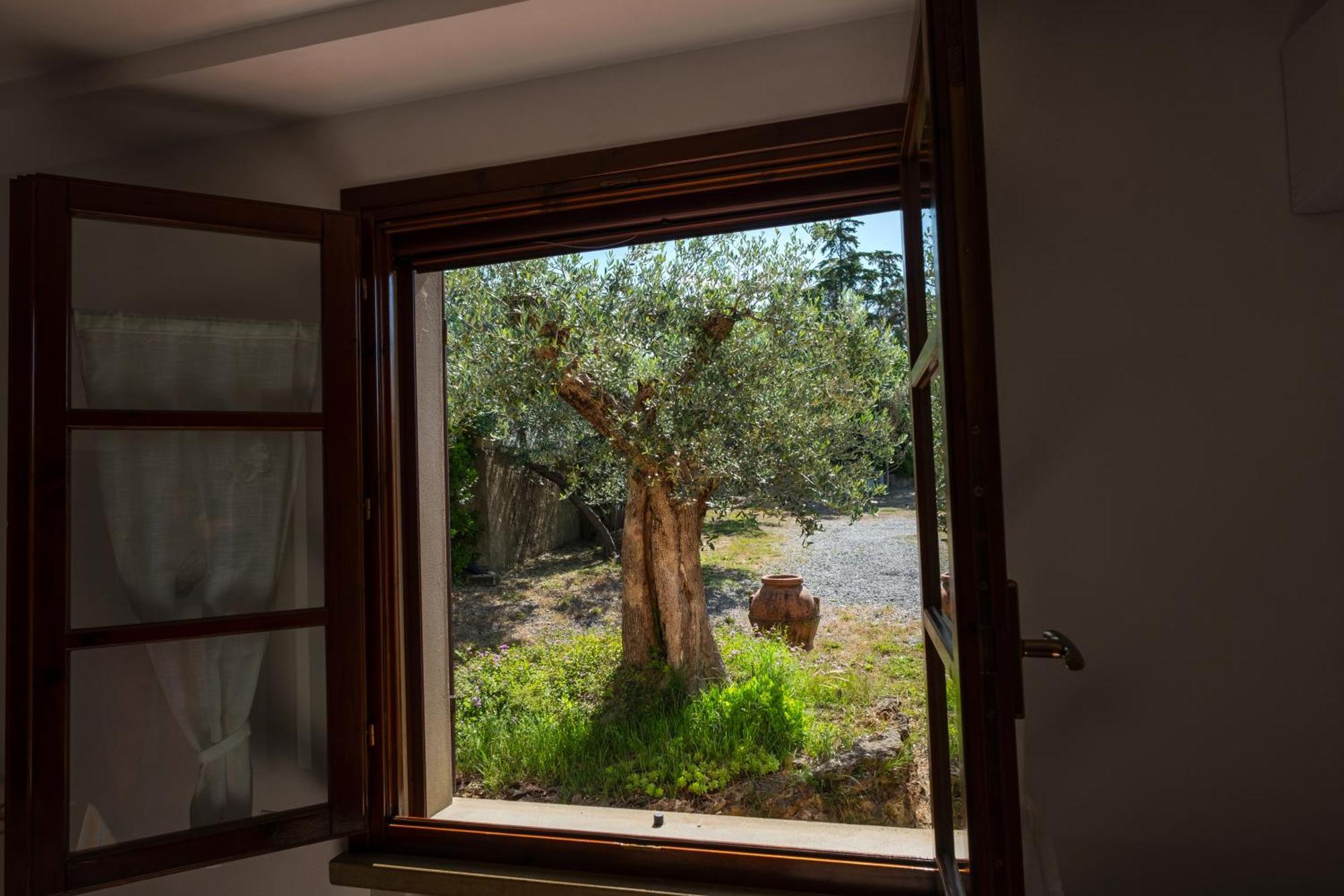 Agriturismo I Cerroni Монтескудайо Екстер'єр фото